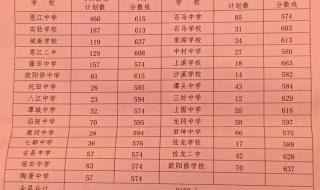 中考高中录取分数线