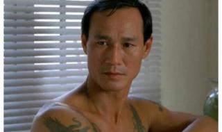 香港武打明星陈惠敏