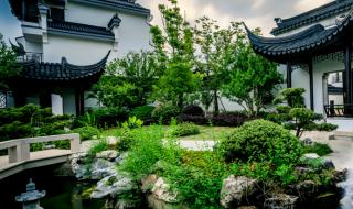 上海到乌镇一日游