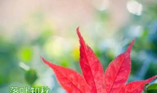 最新每天早上问候语 最新每天早上问候语