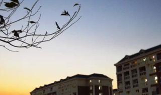 上海中侨职业技术学院 上海中侨职业技术学院