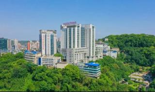 2024最火的微信图片