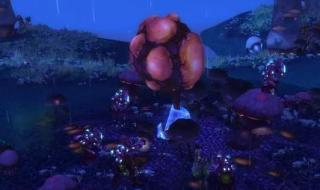 孢子村声望怎么刷