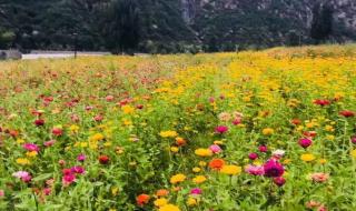 幽谷神潭自然风景区 幽谷神潭自然风景区