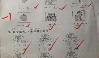 三年级上册期中试卷