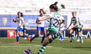 凯尔特人外貌特征