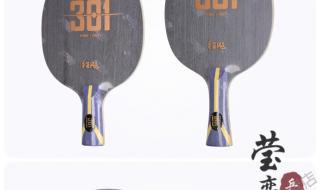 哪个牌子乒乓球最好打